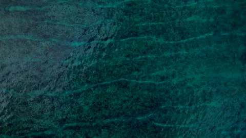 Overhead ocean waves breaking over shallow coral reef. Unique aerial view drone Stock Footage 344619159
