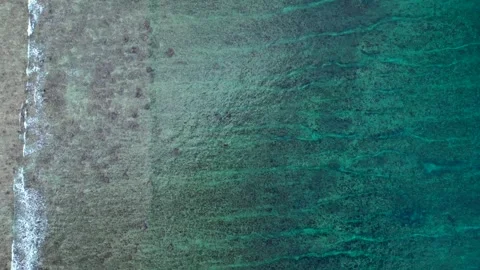 Overhead ocean waves breaking over shallow coral reef. Best aerial view drone Stock Footage 344619690
