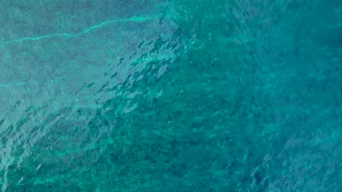 Overhead ocean waves breaking over shallow coral reef. Smooth aerial view drone Stock Footage 344627710