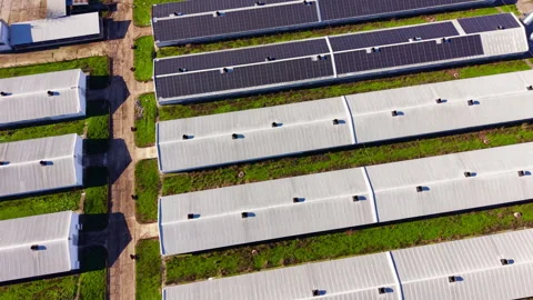 Overhead pattern of poultry barn roofs, Bulgaria Stock Footage 346384342