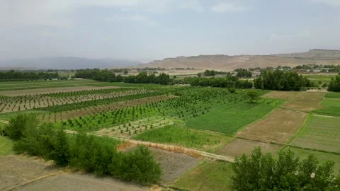 Overhead Perspective of Agricultural Fields Video stock 274530499