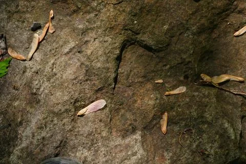 Overhead perspective capturing textured rock surface Фото