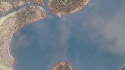 Overhead perspective of a river and pathway in a vibrant landscape, with trees. Stock Footage 295454164