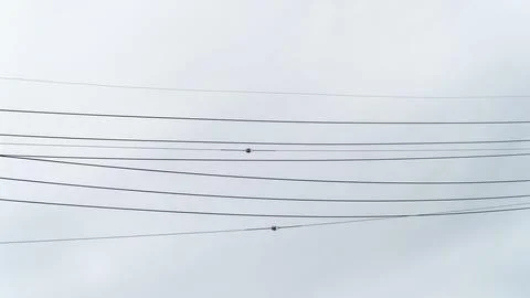 Overhead Power Lines and Cables Against a Pale Overcast Sky 写真素材
