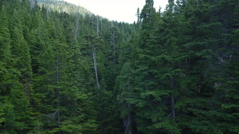 An overhead, pull back reveal of a waterfall in a forest Stock Footage 163164363