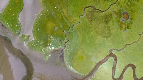 Overhead river marsh Stock Footage 81796231