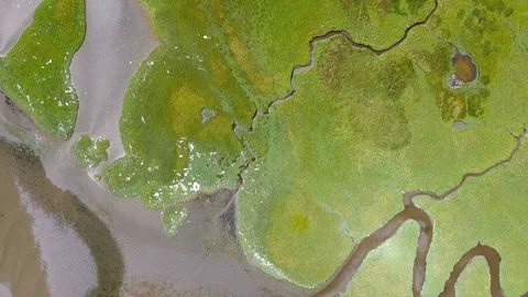 Overhead river marsh Stock Footage 81844588