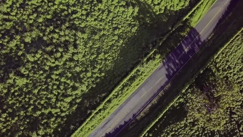 Overhead Rotating Left Shot Of White Truck Driving Down A Narrow Road Stock-Footage 83959880