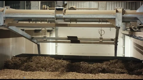 Overhead Scraper Blade Leveling Organic Biomass, Bioenergy Facility, Medium Shot 動画素材 341436792