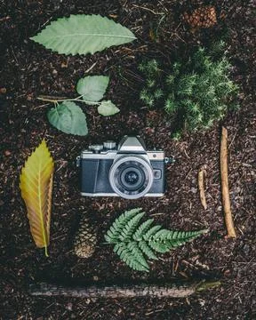 An overhead shot of a camera and elements of nature on the ground - nature ph Stock Photos