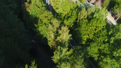 Overhead Shot Of The Car Going Through The Forest Stock Footage 116671311