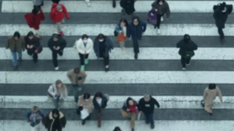 Overhead Shot Commuters Walking White Zebra Crossing Lines Stock Footage 327594413