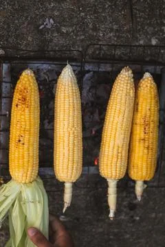 Overhead Shot of Corn on the Grill Stock Photos