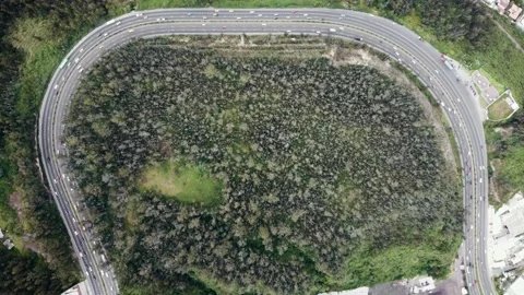 Overhead shot of a curving highway in the forest of Ecuador Stock Footage 204051114