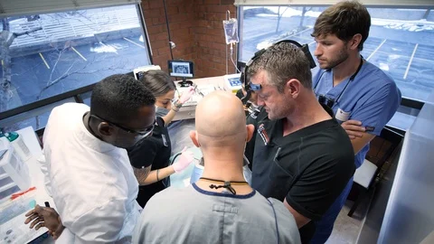 Overhead shot of doctor instructing group of students Stock-Footage 127001005