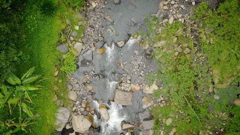 Overhead shot of flowing stream with scattered boulders and green banks Stock Footage 316790772