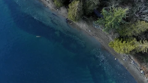 Overhead shot of the forest and walking paths near Deep Cove in North Vancouver. Stock Footage 100671544