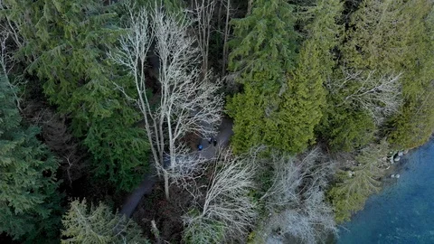 Overhead shot of the forest and walking paths near Deep Cove in North Vancouver. Stock-Footage 100676302