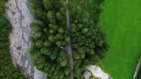 Overhead shot of a forest located beside a little river in the Swiss alps Video stock 248460743