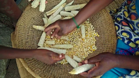 An overhead shot of hands moving around inside a woven bowl Stock Footage 254792583