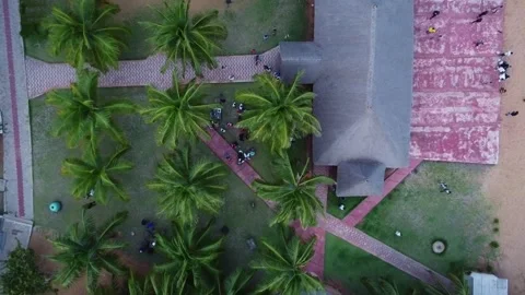 Overhead shot of palm trees, building with gray roof, and brick pathway design Stock Footage 317657891