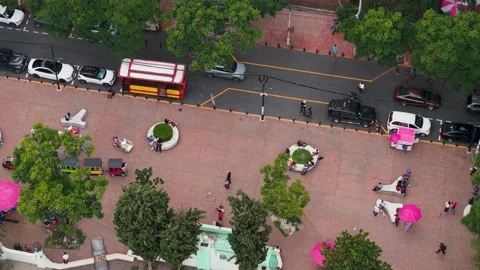 Overhead shot of Parque México in Mexico City's Condesa district Vídeo Stock 318201191