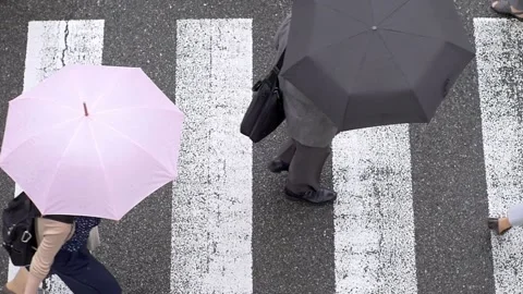 Overhead shot of people walking at crosswalk with colorful umbrellas in rain, sl Stock Footage 155636282