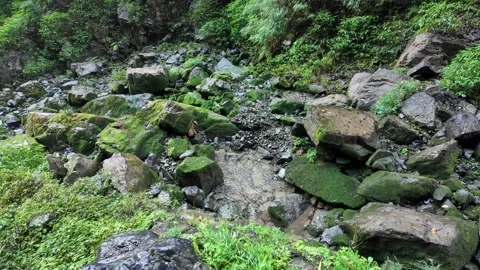 Overhead Shot of Rain Falling Over Mossy Boulders in Mountain Stream Bed Stock Footage 329954315