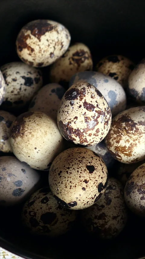 Overhead Shot Of Raw Quail Eggs On Black Plate, Close-up. Slider Dolly Shot. Ver Stock Footage 274908790