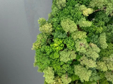 Overhead shot of a river through green Polish summer forest. Stock Photos