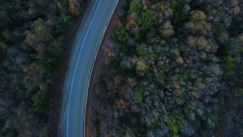 Overhead shot of a road between a forest with 2 houses 스톡 동영상 157079637