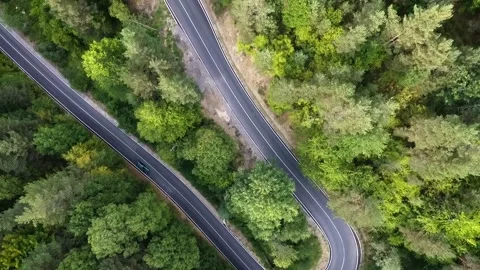 Overhead shot of rounded, wild road Stock Footage 143966103