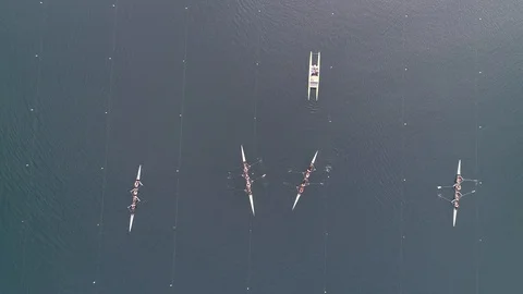 Overhead shot of rowing boats preparing for a competition on a pond Stock Footage 106400839