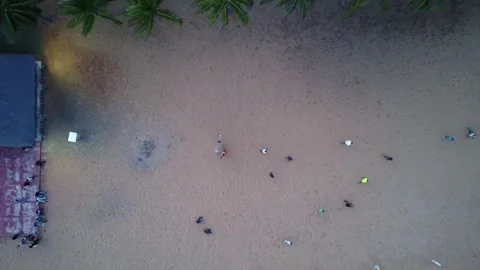 Overhead shot of a sandy beach with palm trees and people enjoying the day Stock-Footage 317658087
