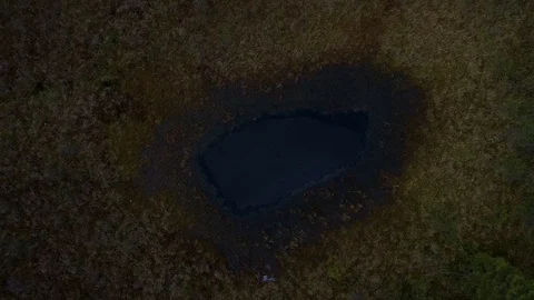 Overhead shot scenery over the forest. Swamp in the middle of forest Stock Footage 89077358