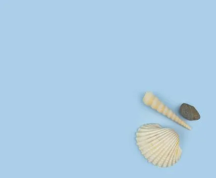 Overhead shot of Seashell collection border on light blue background. seashel Foto stock