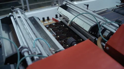 Overhead Shot of Seeding Tray on Automated Rails 库存影片 313506745