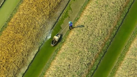 An overhead shot shows a farmer pulling an irrigation cart. Video stock 306723082