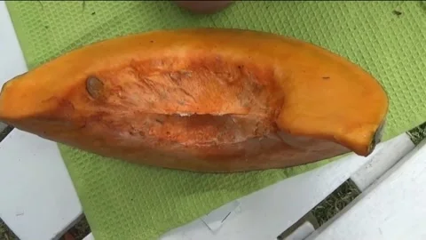 Overhead shot of  a slice of pumpkin Stock Footage 139146617