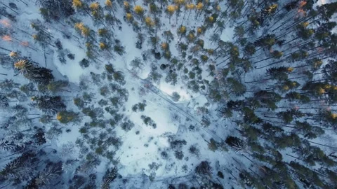 Overhead shot of snow covered forest hill with stairs in the middle 4k Video stock 252126083