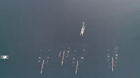 Overhead shot of start in rowing competition on a pond Stock Footage 106400844
