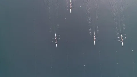 Overhead shot of start in rowing competition on a pond Stock Footage 106400881