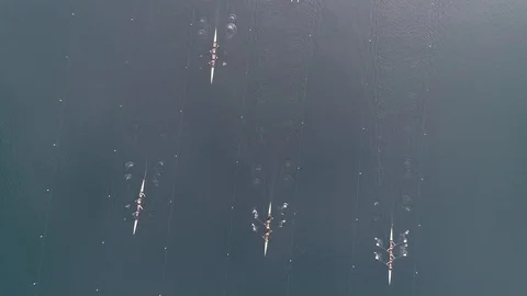 Overhead shot of start in rowing competition on a pond Stock Footage 106401022