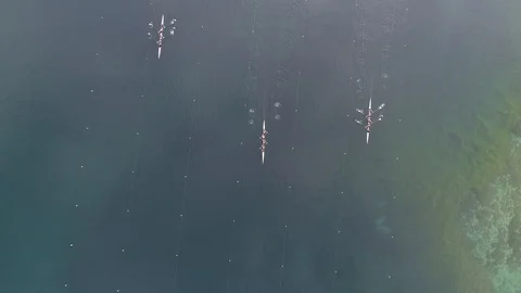 Overhead shot of start in rowing competition on a pond Stock Footage 106401030