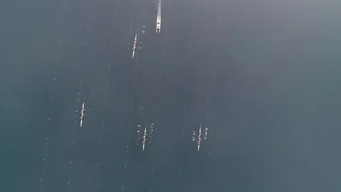 Overhead shot of start in rowing competition on a pond Stock Footage 106401238