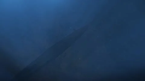 Overhead Shot Sub Gliding Over Acoustic Range Underwater Animation Vídeo Stock 169195054