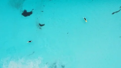 Overhead shot of surfer catching a wave on yellow board in blue water. Stock Footage 125453658