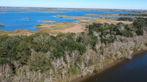 Overhead shot of tree covered island in the bayou Stock Footage 101552202