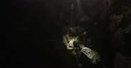 Overhead Shot Two Cave Explorers Going Underground In The Dark Stock Footage