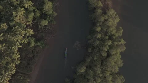 Overhead shot of a winding river through dense jungle DLOG Footage Stock Footage 302264717